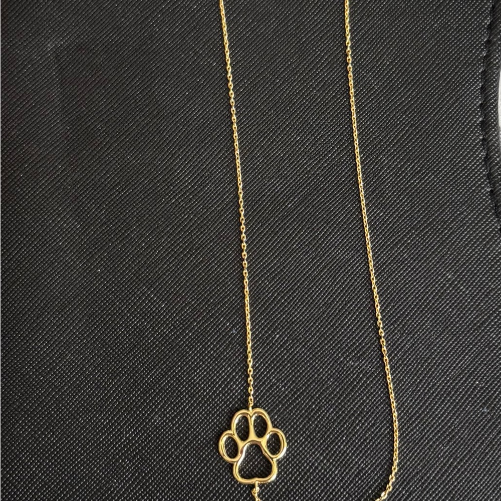 Gold and silver Paw Pendant Necklace